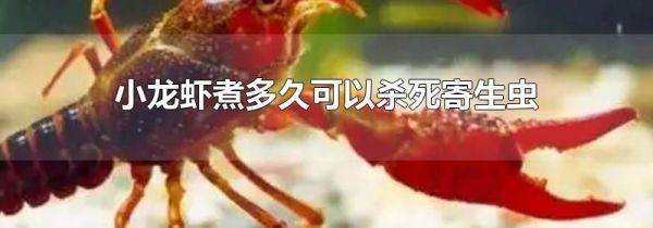 小龙虾煮多久可以杀死寄生虫