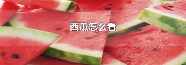 西瓜怎么看