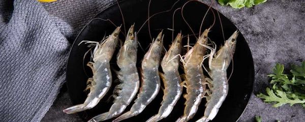 白米虾是海虾还是河虾 白虾仁是河虾还是海虾