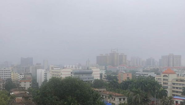 全球变暖导致的后果 全球变暖的人为因素