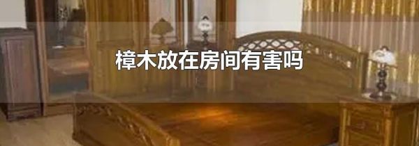 樟木放在房间有害吗