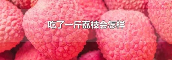 吃了一斤荔枝会怎样