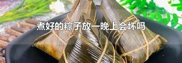 煮好的粽子放一晚上会坏吗