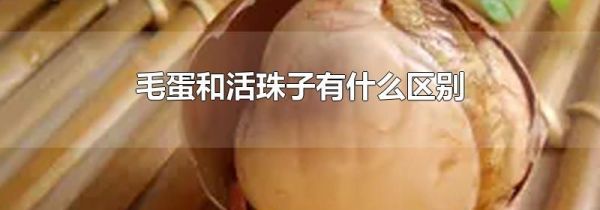 毛蛋和活珠子有什么区别