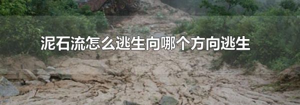 泥石流怎么逃生向哪个方向逃生