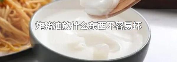 炸猪油放什么东西不容易坏