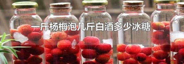 一斤杨梅泡几斤白酒多少冰糖