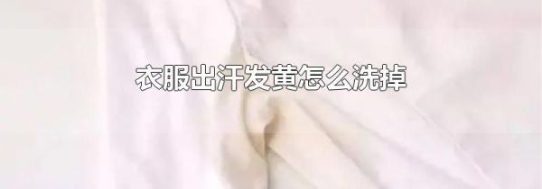 衣服出汗发黄怎么洗掉