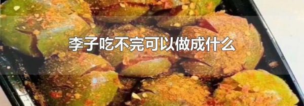 李子吃不完可以做成什么