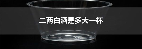 二两白酒是多大一杯