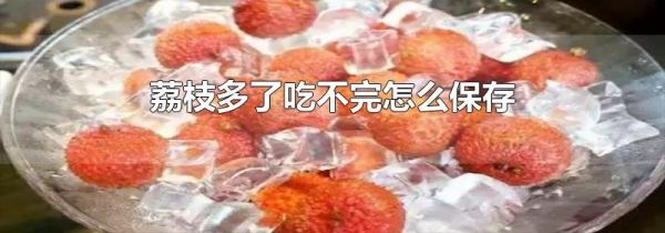 荔枝多了吃不完怎么保存