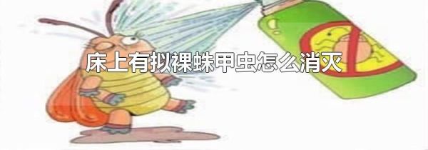 床上有拟裸蛛甲虫怎么消灭