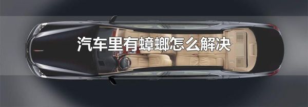 汽车里有蟑螂怎么解决