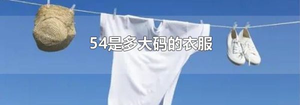 54是多大码的衣服