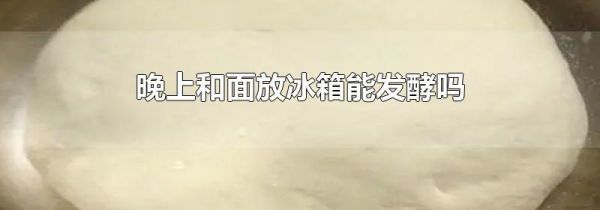 晚上和面放冰箱能发酵吗