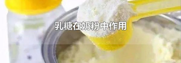 乳糖在奶粉中作用