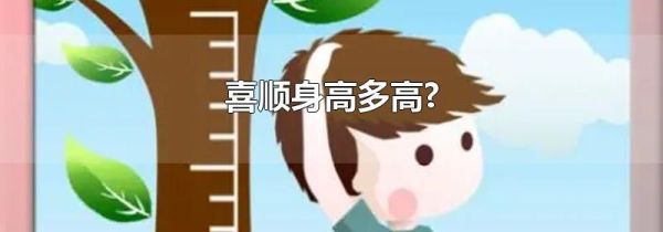 喜顺身高多高?