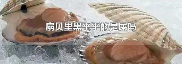 扇贝里黑乎乎的是屎吗