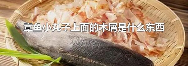 章鱼小丸子上面的木屑是什么东西