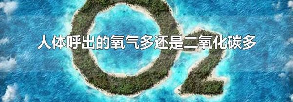人体呼出的氧气多还是二氧化碳多