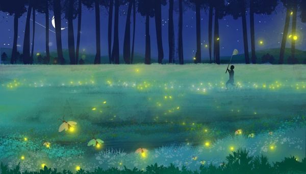 伏天什么时候开始 伏天哪一天开始