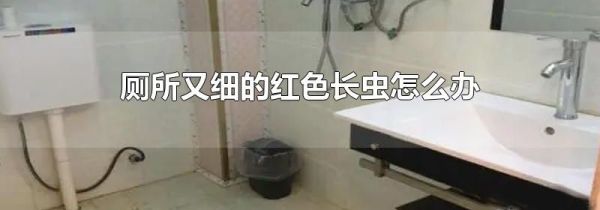 厕所又细的红色长虫怎么办
