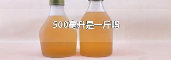 500毫升是一斤吗