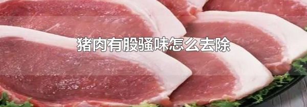 猪肉有股骚味怎么去除