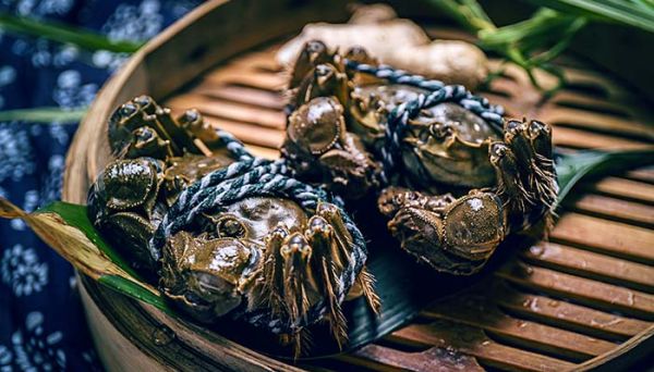 冰箱冻死螃蟹能吃吗 螃蟹怎么养几天不死