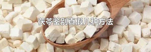 茯苓鉴别真假几种方法