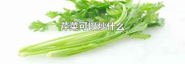 芹菜可以炒什么