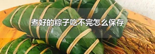 煮好的粽子吃不完怎么保存
