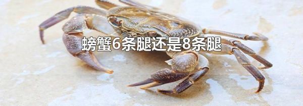 螃蟹6条腿还是8条腿