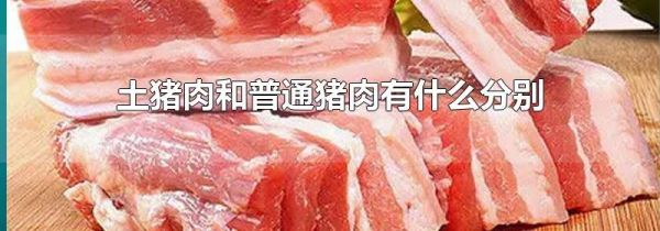土猪肉和普通猪肉有什么分别