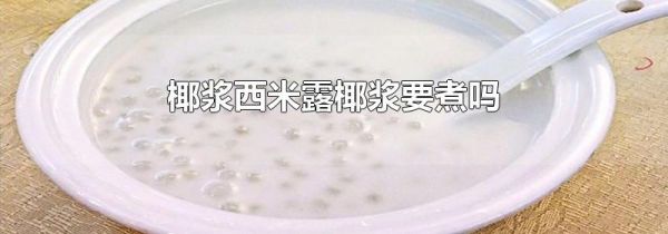 椰浆西米露椰浆要煮吗
