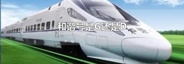 和谐号是G还是D