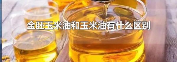 金胚玉米油和玉米油有什么区别