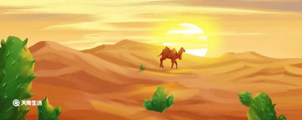 骆驼有几个胃 骆驼有多少个胃