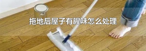 拖地后屋子有腥味怎么处理