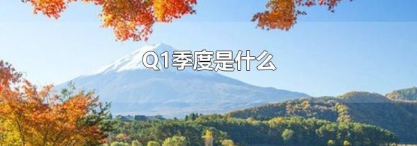 Q1季度是什么