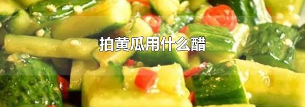 拍黄瓜用什么醋
