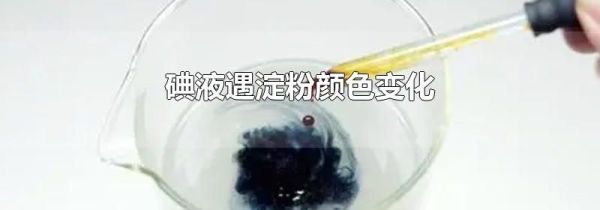 碘液遇淀粉颜色变化