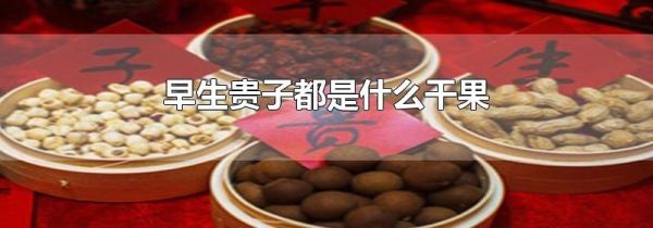 早生贵子都是什么干果