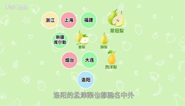 梨的产地 梨产地在哪里