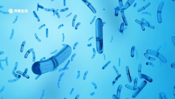 病毒的主要化学成分是什么 病毒主要是由什么化学成分组成