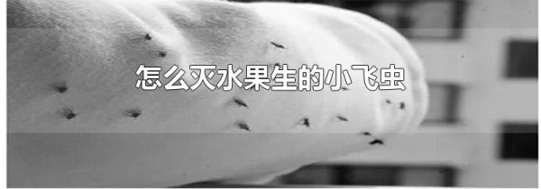 怎么灭水果生的小飞虫