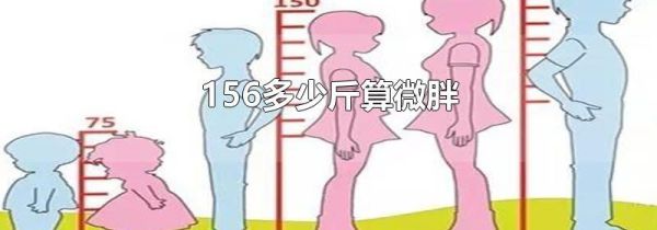 156多少斤算微胖