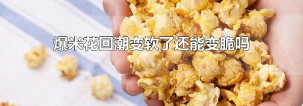 爆米花回潮变软了还能变脆吗