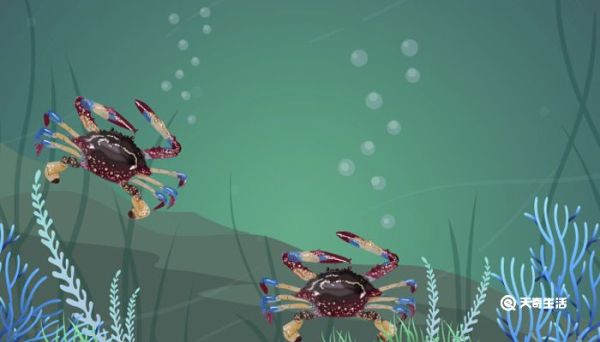 白蟹怎么存放保持新鲜 白蟹怎么存放保持新鲜方法