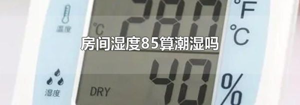 房间湿度85算潮湿吗